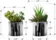 Monarch Specialties Inc. 2-piece Artificial Succulent Plant with Chrome Pot-2
