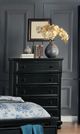 Mazin Furniture Laurelin Black Chest-3