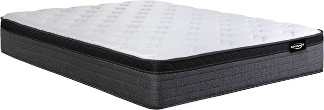 Springwall Sleep Products Eclipse 12" Full Bio Pocketed Coil Euro Top Plush Mattress