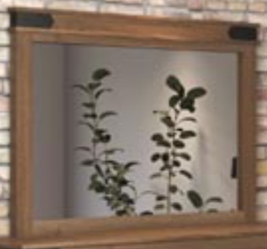 Miroir en placage Tomali® | Ameublement BrandSource Paquin