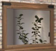 Tomali Hickory Veneer Mirror-0