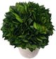 A & B Home Green/Red Washed Holly Potted Ball-2