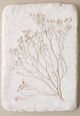Magnolia Home by Joanna Gaines Pressed Flower Branches Plaque-0
