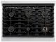 ZLINE Autograph Edition Paramount 36" 5.2 cu. ft. Stainless Steel with Polished Nickel Helix Handle and Knob Accents Dual Fuel Range with 6 Burner Gas Cooktop and Electric Convection Oven-3