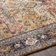 Surya Leicester Cream 4'x6' Area Rug-4