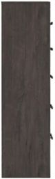 Signature Design by Ashley® Prendonea Charcoal Chest-2