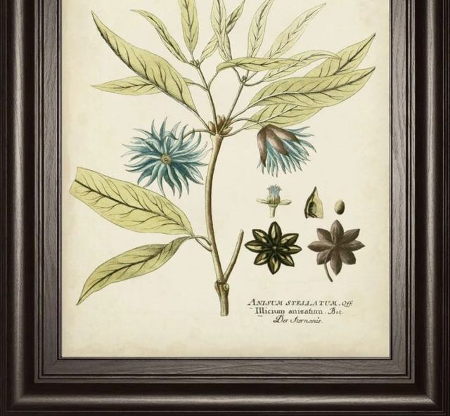 Classy Art Eloquent Botanical III by Vision Studio Wall Art-1