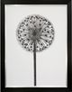 Stylecraft Black/Light Gray/White Framed Print-0