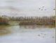 Stylecraft Duck Pound Wall Art-1