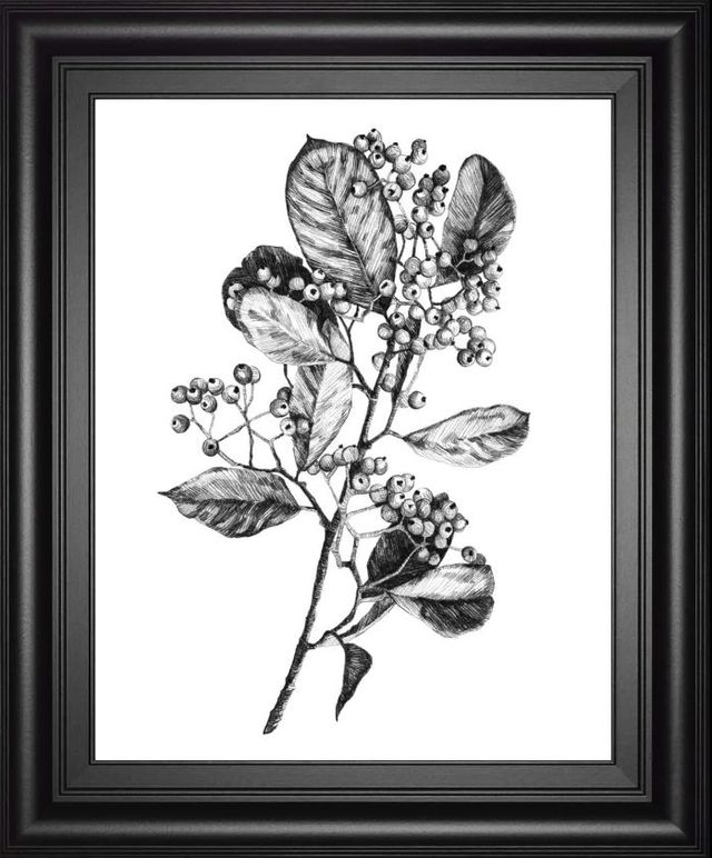 Classy Art Hawthorn Berry Branch I by Emma Scarvey Wall Art-0