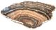 A & B Home Macias Brown Hand-Carved Zebra Onyx Bowl-0