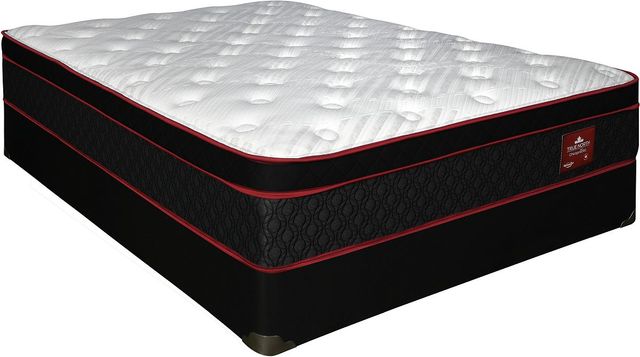 Springwall® True North Chiropractic® Bruce 11" Wrapped Coil Medium Firm Euro Top Queen Mattress in a Box-2