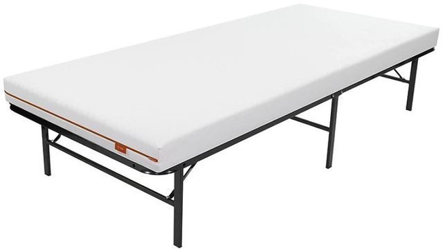 IFDC Black King Folding Cot Bed-2