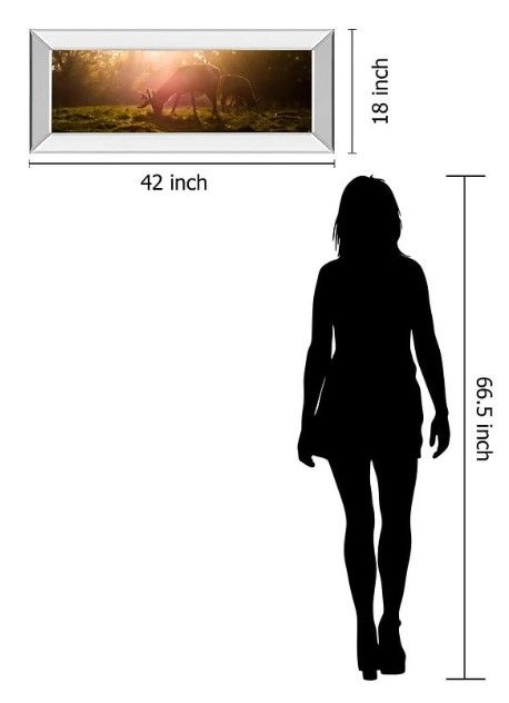 Classy Art Morning Haze by Joe Reynolds Mirror Framed Wall Art-2