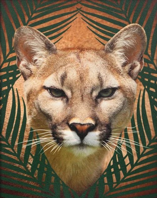 Stylecraft Roaming Wild III Wall Art-1