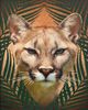 Stylecraft Roaming Wild III Wall Art-1