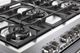Verona® Prima 36" Stainless Steel Pro Style Dual Fuel Range-1
