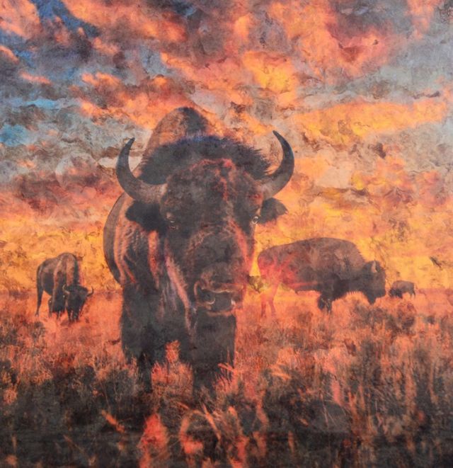 Horizon Home® Bison Wall Art-1