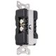 AudioQuest® 20 Amp NRG Edison AC Outlet-1