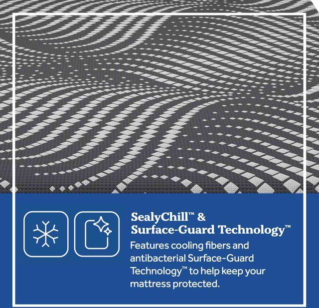 Sealy® Posturepedic® Plus High Point 14" Foam Ultra Soft Tight Top Queen Mattress-4