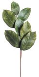 A & B Home Green 20" Magnolia Leaves Spray-0