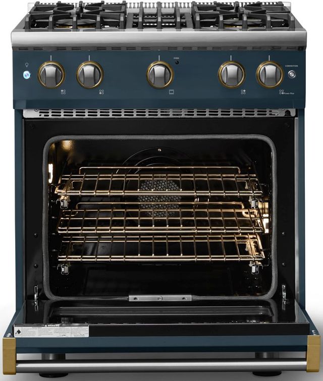 Viking® 5 Series 30" Squall Pro Style Gas (LP) Range with Brushed Brass Trim-1