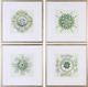 Uttermost® by Grace Feyock Organic Symbols Green/Blue Print Art-0