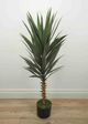 Le Present Agave Green 47" Faux Botanical-3