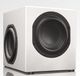 Totem Acoustics High-Fidelity Subwoofer Speaker-3
