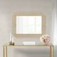 Olliix by Madison Park Monroe Gold Mirror-4