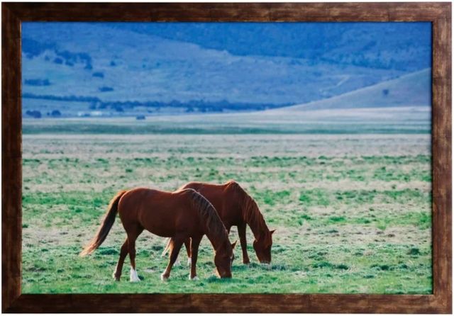 Stylecraft Snack Time Framed Print-0