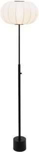 Zuo® Modern Wisteria Black Floor Lamp-0