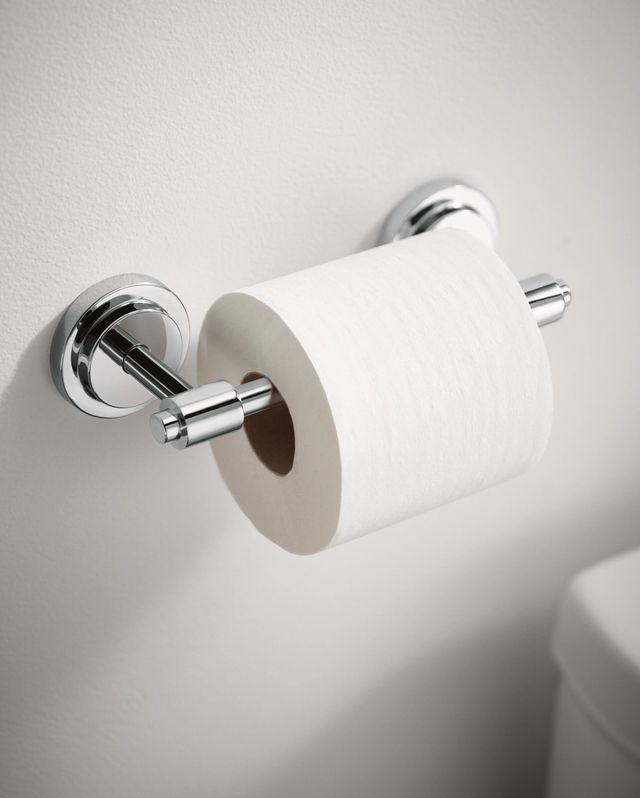 Moen® Iso™ Chrome Pivoting Paper Holder-1