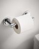 Moen® Iso™ Chrome Pivoting Paper Holder-1