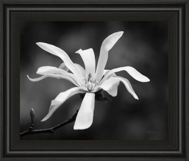 Classy Art Magnolia Dreams I by Geyman Vitaly Wall Art-0