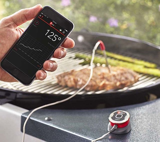 Weber® iGrill Mini-2
