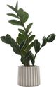 Monarch Specialties Inc. Green/White 20" Tall Artificial Potted Zz-0