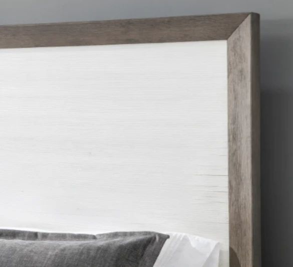 Legacy Classic Terra Luna Nightfall/White Cloud Queen Panel Bed-3
