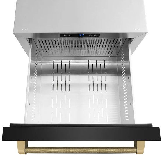 ZLINE Autograph Edition Touchstone 24 " 4.6 Cu. Ft. Black Stainless Steel 168 Can Outdoor-Rated Dual Refrigerator Drawer with Polished Gold Helix Handles -3