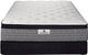Kingsdown® Passions Monica Wrapped Coil Firm Euro Top Twin Mattress-2