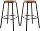 ACME Furniture Scarus 2-Piece Black/Natural Bar Stool Set-0