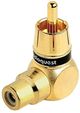 AudioQuest® Gold 90° RCA Male to RCA Female Adapter-0