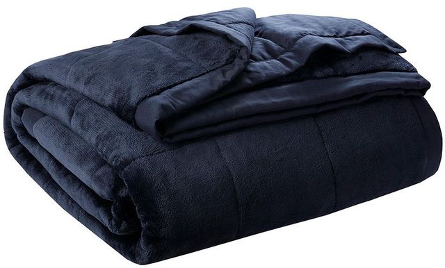 Olliix by Madison Park Navy Twin/Twin XL Coleman Reversible Down Alternative Blanket-1