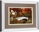 Classy Living Tom Reeves Bow Bridge Wall Art-3