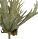 A & B Home Light Green Faux Mature Reindeer Grass Stem-1