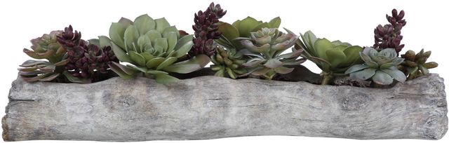 Uttermost® Charita Burgandy/Green Succulents-2