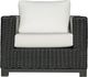 Enclover Trillium Birds Eye/Black Club Chair-1