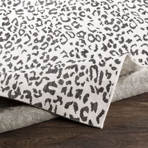 Surya Eagean Multi-Colored 5'x8' Area Rug-1