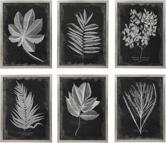 Uttermost® 6-Piece Foliage Framed Prints Set-0