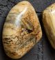 Uttermost® Pebbles 9-Piece Natural Blonde Wall Decor Set-4